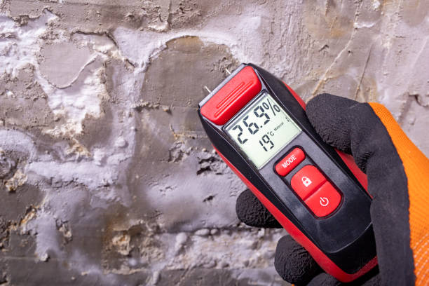 Best Industrial Mold Remediation in Elma Center, NY